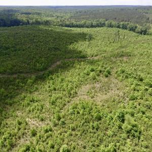 Photo #41 of SOLD property in New Grove Rd, Kenbridge, VA 58.0 acres