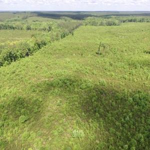 Photo #42 of SOLD property in New Grove Rd, Kenbridge, VA 58.0 acres