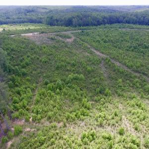 Photo #43 of SOLD property in New Grove Rd, Kenbridge, VA 58.0 acres