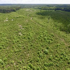 Photo #44 of SOLD property in New Grove Rd, Kenbridge, VA 58.0 acres
