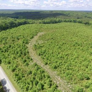 Photo #45 of SOLD property in New Grove Rd, Kenbridge, VA 58.0 acres