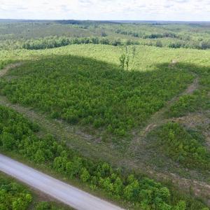 Photo #46 of SOLD property in New Grove Rd, Kenbridge, VA 58.0 acres