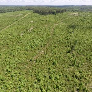 Photo #47 of SOLD property in New Grove Rd, Kenbridge, VA 58.0 acres