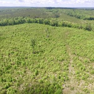 Photo #5 of SOLD property in New Grove Rd, Kenbridge, VA 58.0 acres