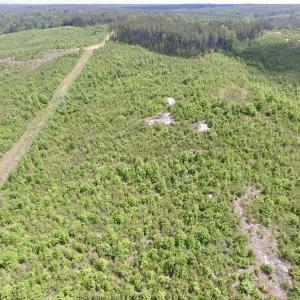 Photo #7 of SOLD property in New Grove Rd, Kenbridge, VA 58.0 acres