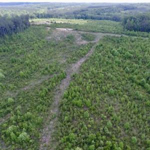Photo #8 of SOLD property in New Grove Rd, Kenbridge, VA 58.0 acres
