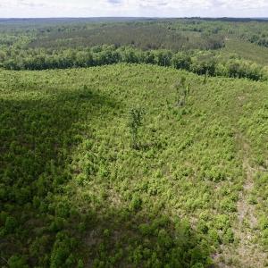 Photo #9 of SOLD property in New Grove Rd, Kenbridge, VA 58.0 acres