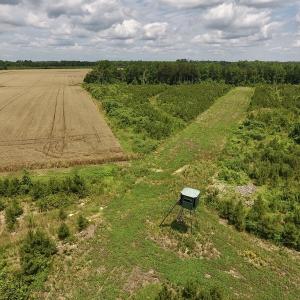 Photo #32 of SOLD property in 8510 Gates Road, Suffolk, VA 650.0 acres