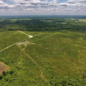Photo #33 of SOLD property in 8510 Gates Road, Suffolk, VA 650.0 acres