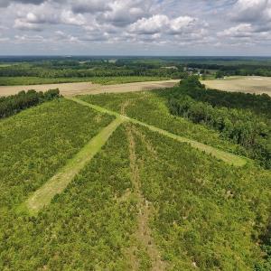 Photo #34 of SOLD property in 8510 Gates Road, Suffolk, VA 650.0 acres