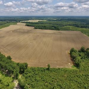 Photo #36 of SOLD property in 8510 Gates Road, Suffolk, VA 650.0 acres