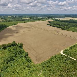 Photo #37 of SOLD property in 8510 Gates Road, Suffolk, VA 650.0 acres