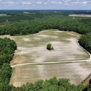 Photo #39 of SOLD property in 8510 Gates Road, Suffolk, VA 650.0 acres