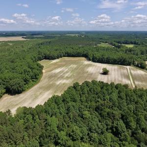 Photo #40 of SOLD property in 8510 Gates Road, Suffolk, VA 650.0 acres