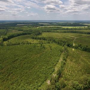 Photo #41 of SOLD property in 8510 Gates Road, Suffolk, VA 650.0 acres