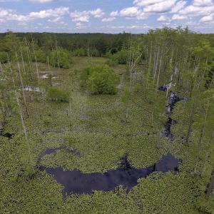 Photo #42 of SOLD property in 8510 Gates Road, Suffolk, VA 650.0 acres