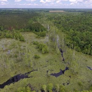 Photo #43 of SOLD property in 8510 Gates Road, Suffolk, VA 650.0 acres