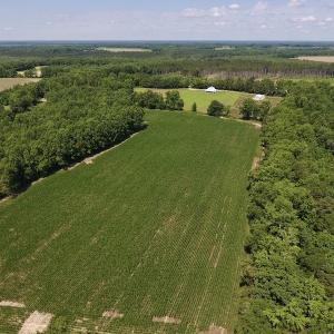 Photo #44 of SOLD property in 8510 Gates Road, Suffolk, VA 650.0 acres