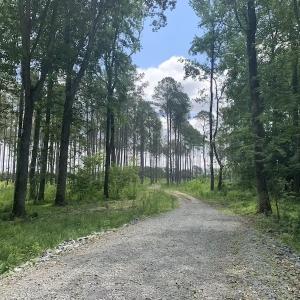Photo #47 of SOLD property in 8510 Gates Road, Suffolk, VA 650.0 acres