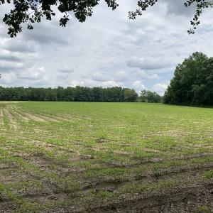 Photo #49 of SOLD property in 8510 Gates Road, Suffolk, VA 650.0 acres