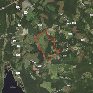 Photo #50 of SOLD property in 8510 Gates Road, Suffolk, VA 650.0 acres