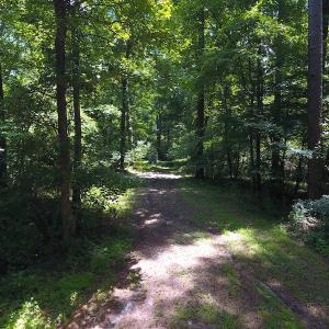 Photo #21 of SOLD property in Off Stoneridge Lane  , Rocky Mount, NC 2.5 acres