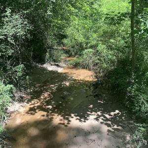 Photo #22 of SOLD property in Off Stoneridge Lane  , Rocky Mount, NC 2.5 acres