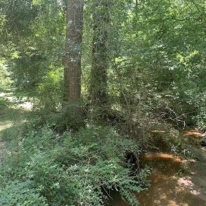 Photo #24 of SOLD property in Off Stoneridge Lane  , Rocky Mount, NC 2.5 acres