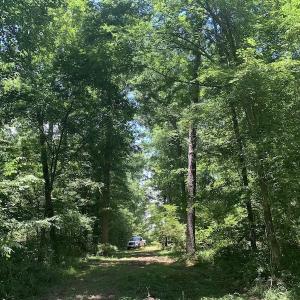 Photo #25 of SOLD property in Off Stoneridge Lane  , Rocky Mount, NC 2.5 acres