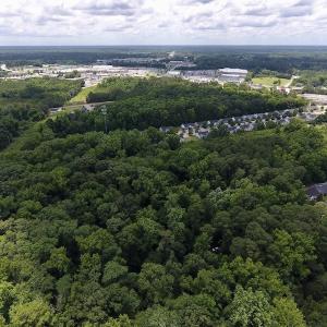 Photo #8 of SOLD property in Off Stoneridge Lane  , Rocky Mount, NC 2.5 acres