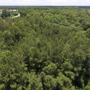 Photo #19 of SOLD property in Off Hunter Hill Road, Rocky Mount, NC 3.0 acres