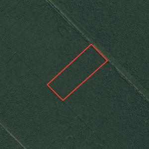 Photo #1 of SOLD property in Off New Lake Road, Belhaven, NC 60.0 acres