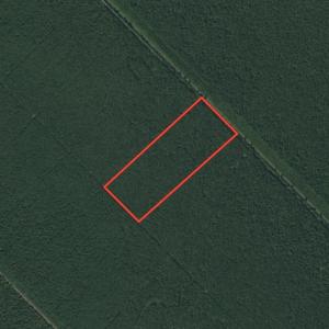 Photo #1 of SOLD property in Off New Lake Road, Belhaven, NC 60.0 acres