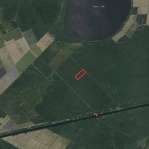 Photo #2 of SOLD property in Off New Lake Road, Belhaven, NC 60.0 acres