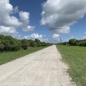 Photo #25 of SOLD property in Off New Lake Road, Belhaven, NC 60.0 acres