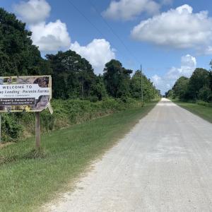 Photo #26 of SOLD property in Off New Lake Road, Belhaven, NC 60.0 acres
