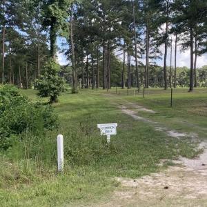 Photo #27 of SOLD property in Off New Lake Road, Belhaven, NC 60.0 acres