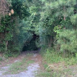Photo #28 of SOLD property in Off New Lake Road, Belhaven, NC 60.0 acres