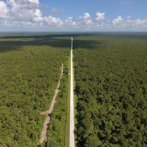 Photo #3 of SOLD property in Off New Lake Road, Belhaven, NC 60.0 acres