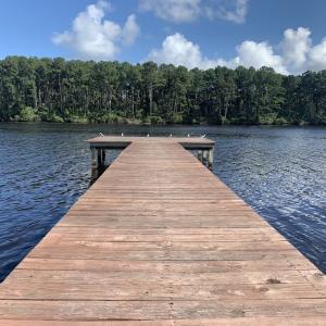 Photo #30 of SOLD property in Off New Lake Road, Belhaven, NC 60.0 acres
