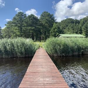 Photo #31 of SOLD property in Off New Lake Road, Belhaven, NC 60.0 acres