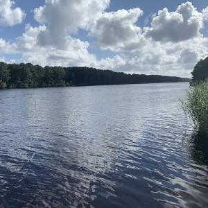 Photo #32 of SOLD property in Off New Lake Road, Belhaven, NC 60.0 acres