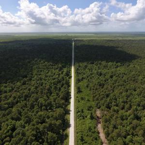 Photo #4 of SOLD property in Off New Lake Road, Belhaven, NC 60.0 acres