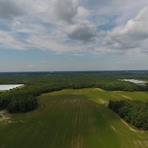 Photo #2 of SOLD property in Off Veachs Mill Road, Warsaw, NC 177.0 acres
