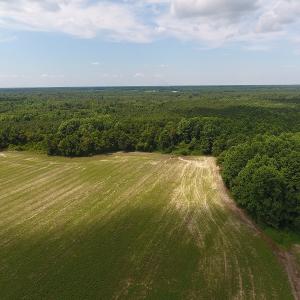 Photo #11 of SOLD property in Off Veachs Mill Road, Warsaw, NC 177.0 acres