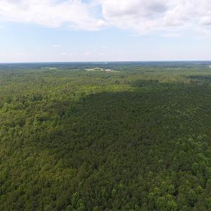 Photo #13 of SOLD property in Off Veachs Mill Road, Warsaw, NC 177.0 acres