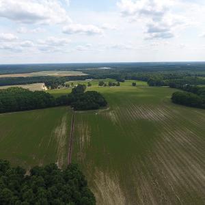 Photo #14 of SOLD property in Off Veachs Mill Road, Warsaw, NC 177.0 acres