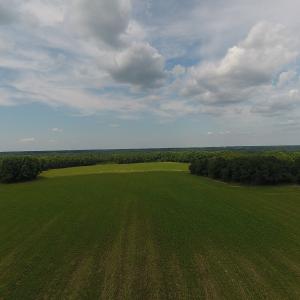 Photo #4 of SOLD property in Off Veachs Mill Road, Warsaw, NC 177.0 acres
