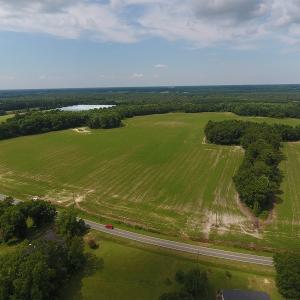 Photo #5 of SOLD property in Off Veachs Mill Road, Warsaw, NC 177.0 acres