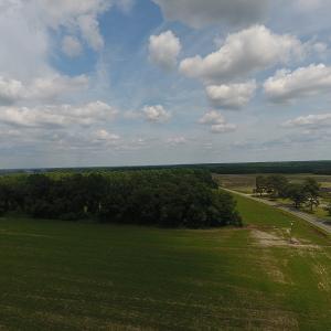Photo #6 of SOLD property in Off Veachs Mill Road, Warsaw, NC 177.0 acres